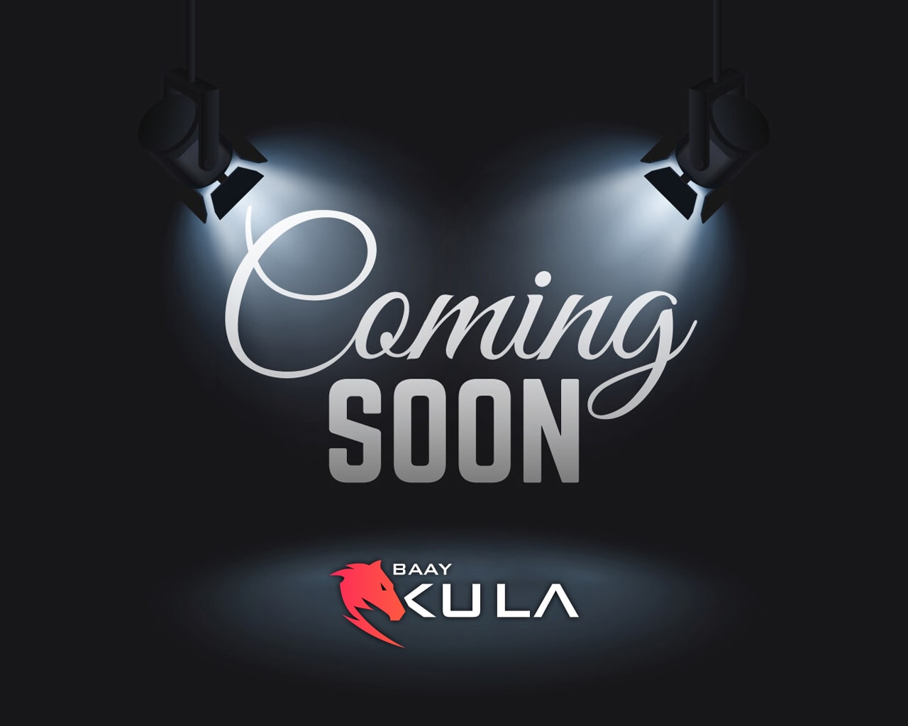 Baay Kula Lojistik Coming Soon